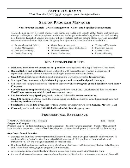 It Project Manager Resume Examples