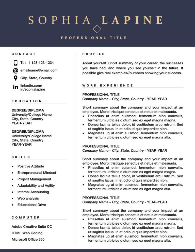 Sample Resume Templates For Experienced It Professionals