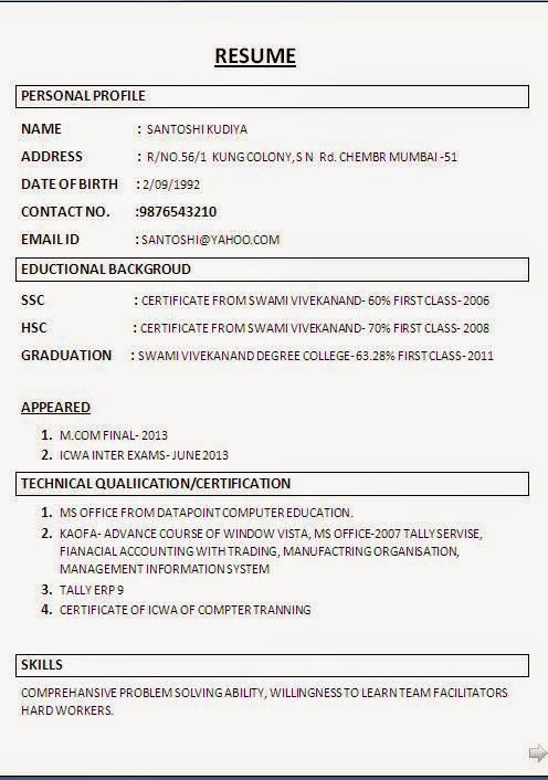 Tally Experience Resume Format Pdf