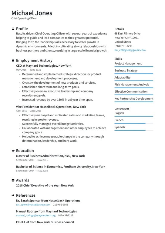 CEO Resume Examples & Writing tips 2021 (Free Guide) · Resume.io