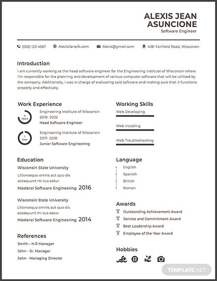Software Development Manager Resume Examples 2018