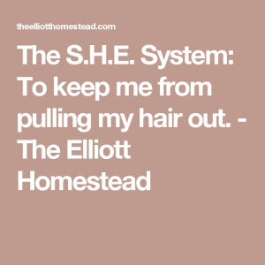The S.H.E. System To keep me from pulling my hair out. My hair, How