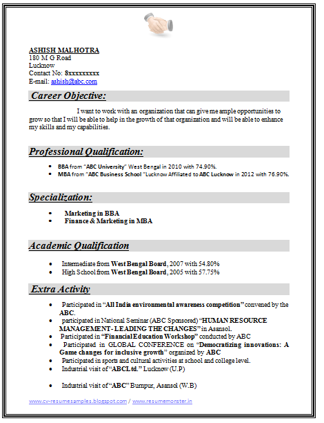 Professional Resume Format For Freshers
