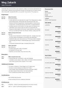 Best Executive Resume Template & 20+ CLevel Examples