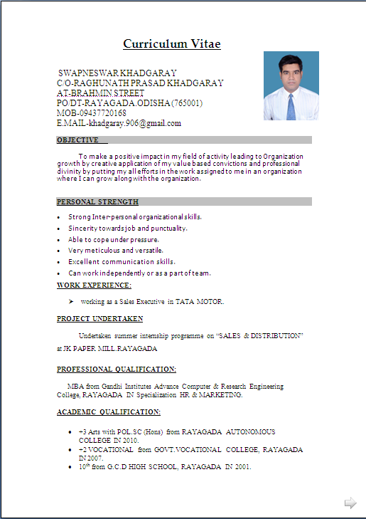 Resume Format Word Document