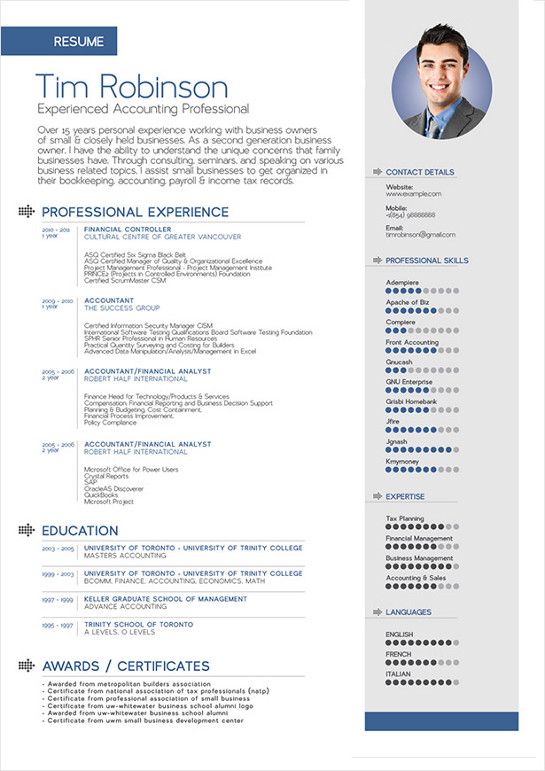Professional Cv Template Docx Free