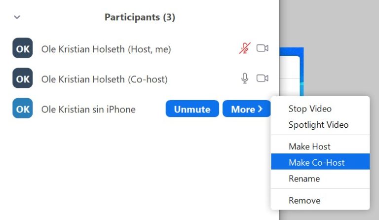 How To Assign Co-host In Zoom Meeting