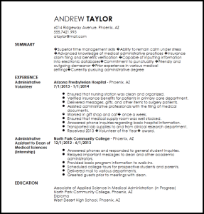 trimerchdesigners Currently Pursuing Degree On Resume Example