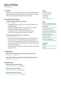 IT Project Manager Resume Examples & Writing tips 2021 (Free Guide)