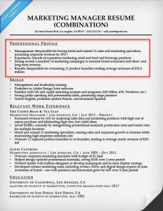 Resume Professional Profile Examples 5 winning personal profile