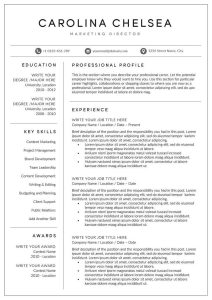 Objective for Teacher Resume Of Professional Resume Template for Word