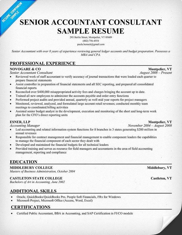 Account Manager Resume Template Free