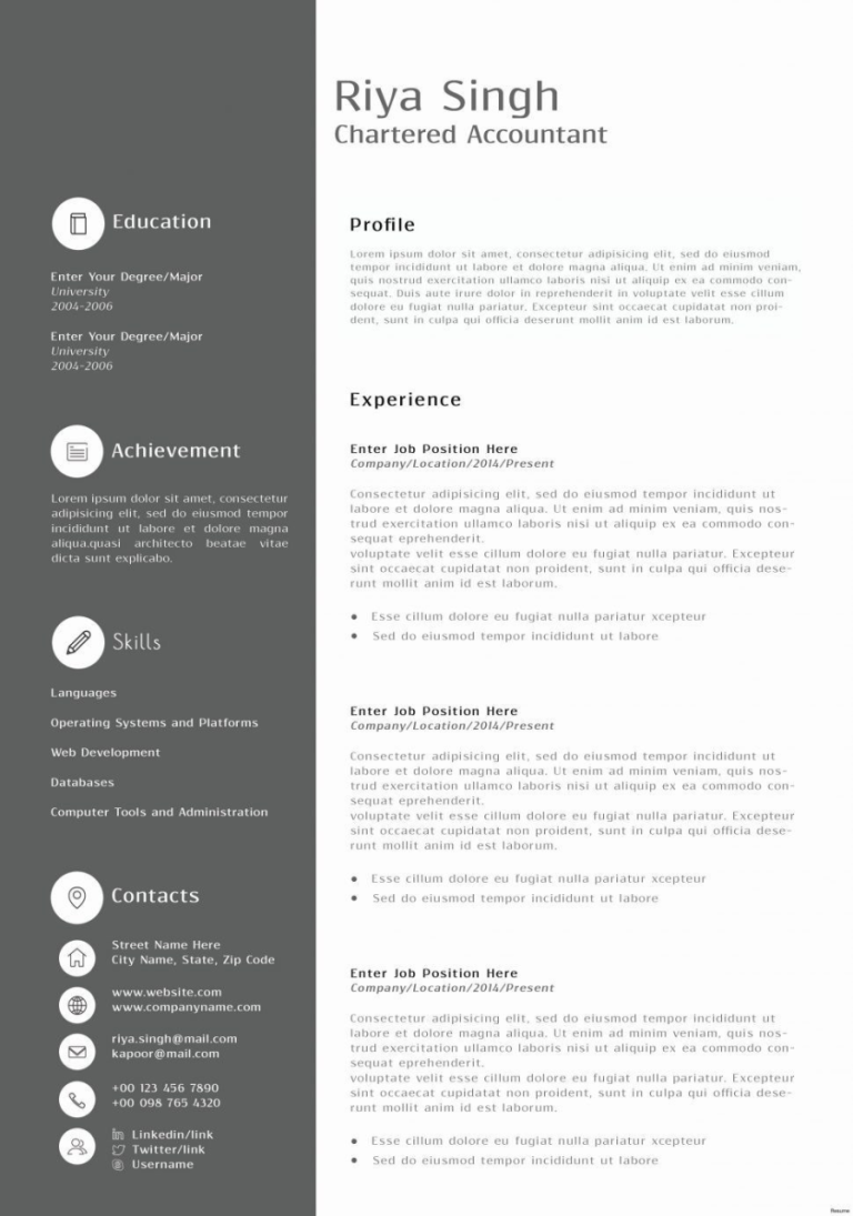 Accountant Resume Format In Word In India