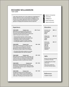 Team Leader resume, supervisor, CV, example, template, sample, jobs, work