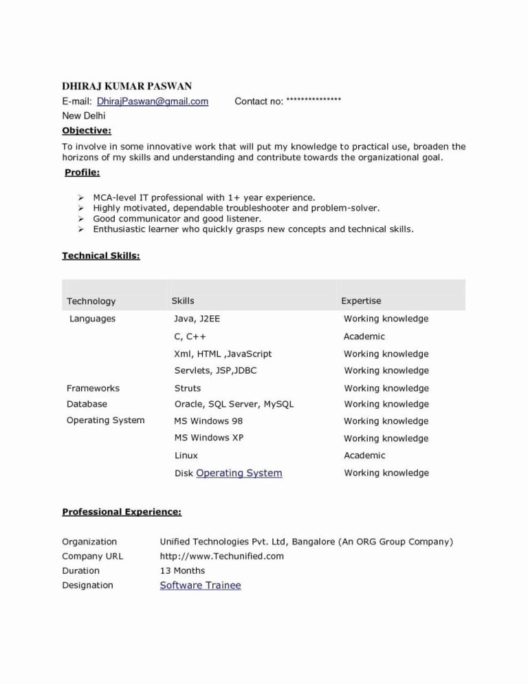 1 Year Experience Resume Format Pdf Download