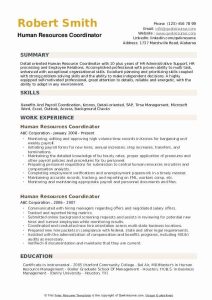Entry Level Hr Resume No Experience™ Printable Resume Template in