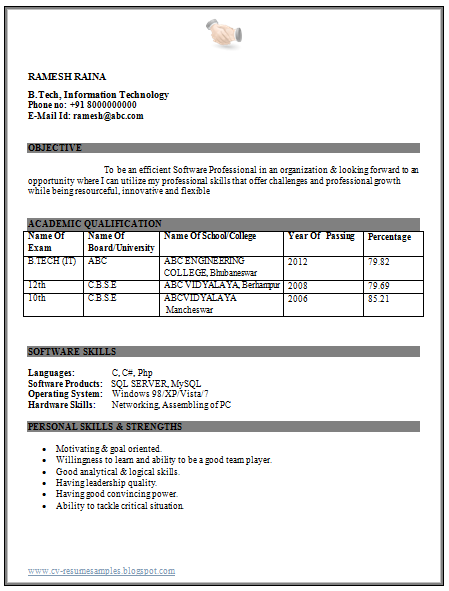 2 Page Resume Format Free Download