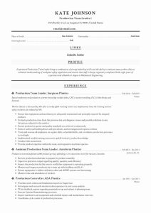 Sample Cv For Team Leader Position Team Lead Resume Examples Free