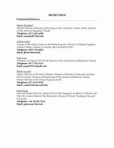 Listing References On A Resume Best Of Professional References List in