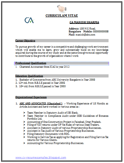 Accountant Cv Format In Word Free Download