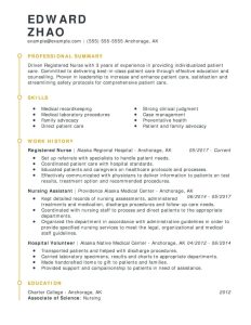 Professional Experience Resume Example Free Letter Templates