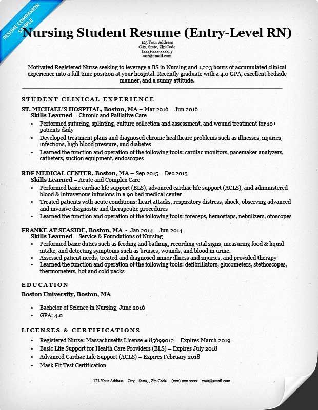 Technical Support Cv Example