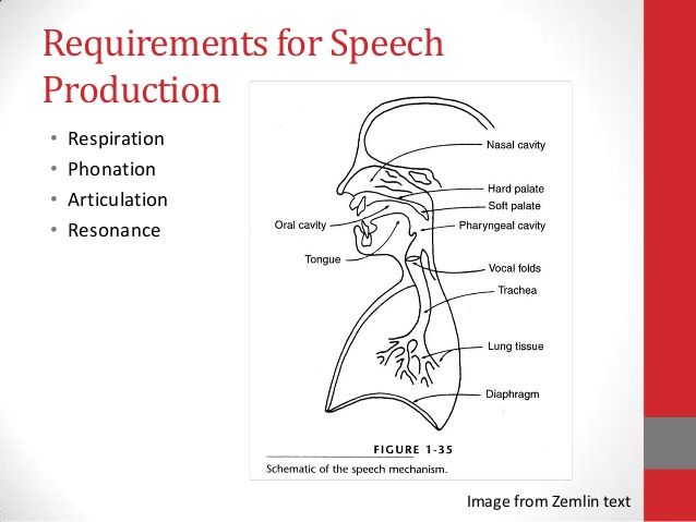 What Is A Technical Speech