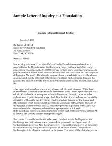 Business Proposal Cover Letter Examples PDF Examples