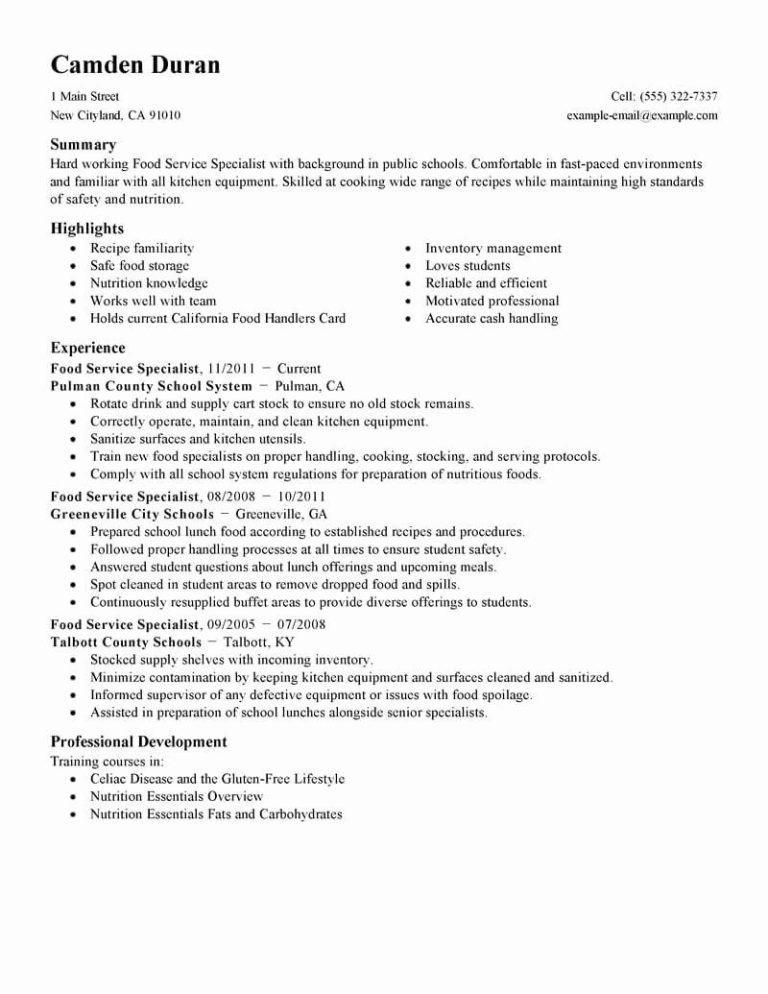 Waitress Resume Summary Examples