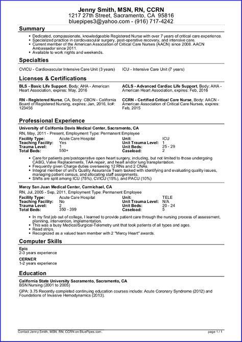 Nurses Resume Template