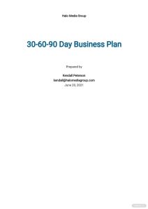 30 60 90 Day Business Plan Template Google Docs, Word, Apple Pages