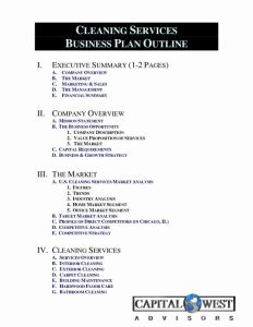 Record Label Business Plan Template Free Unique Cleaning Business Plan