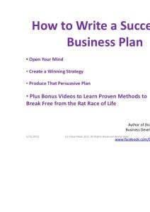 How to write a successful business plan by chew mark