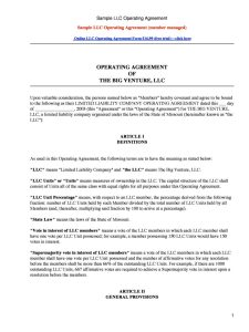 30 Professional LLC Operating Agreement Templates Template Lab