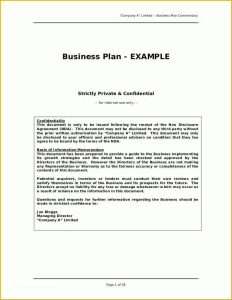Short Business Plan Template Free Of Business Plan Sample Great Example