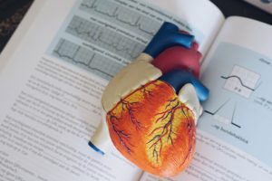 The Best Textbooks for Medical School The Lowkey Medic