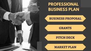 Write a detailed business plan, proposal, business plan writer, grants
