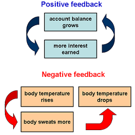 What Are Some Examples Of Negative Feedback