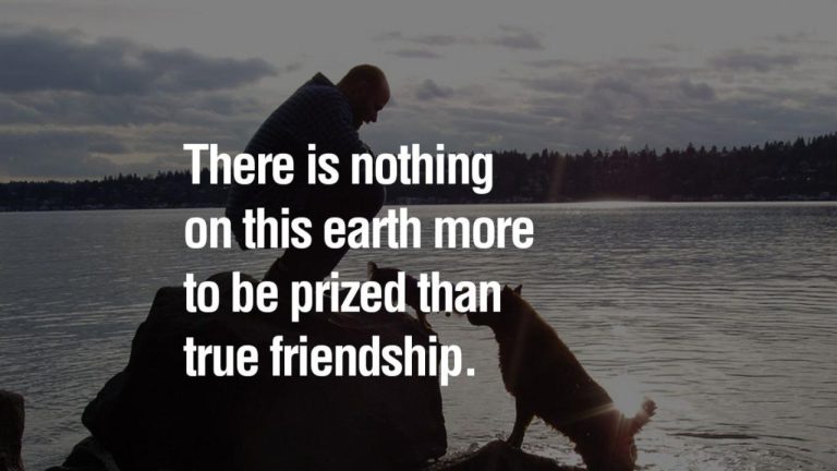 What Are Some Of The Best Examples Of True Friendship