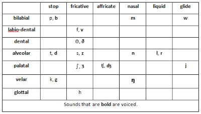 Phonological Processes Phonetics