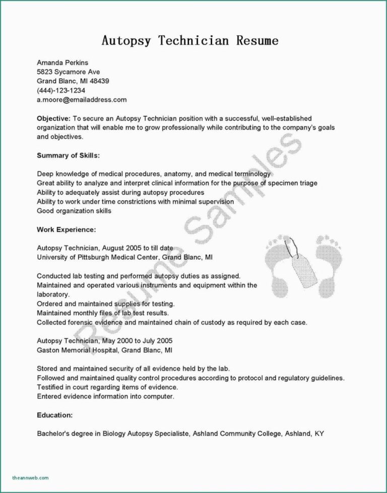 Application Example Resume Cover Letter
