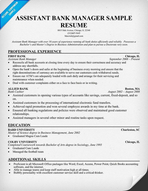 Assistant Accountant Cv Format In Word