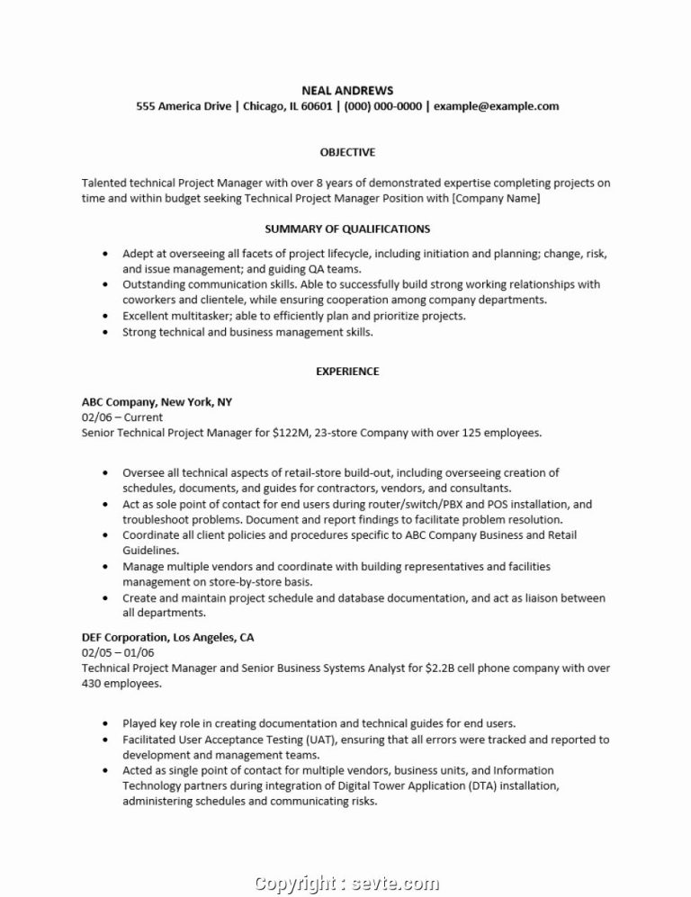 Project Manager Resume Summary Sample