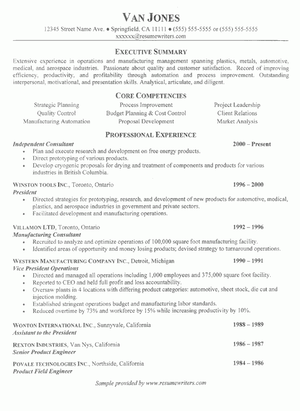 Technical Project Manager Resume Template
