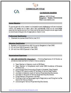 Corporate Lawyer Resume Examples