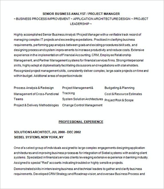 Technical Business Analyst Resume Examples