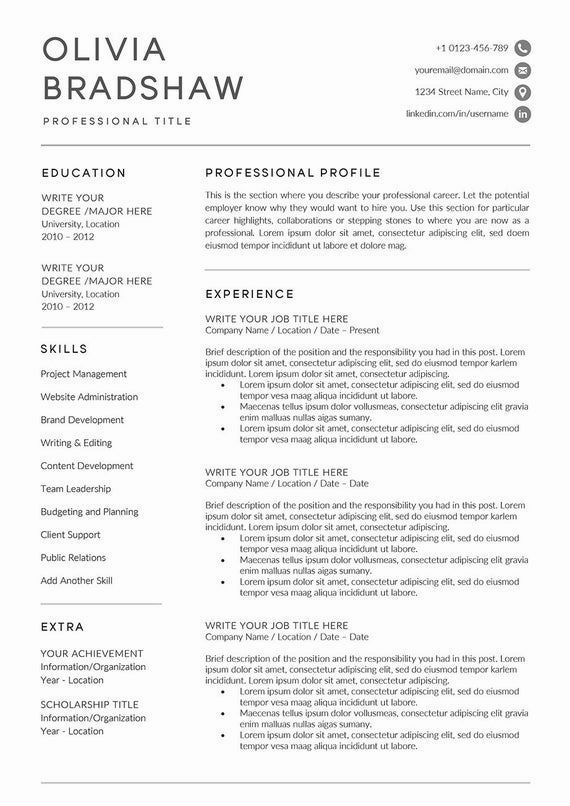 No Experience Resume Template Word