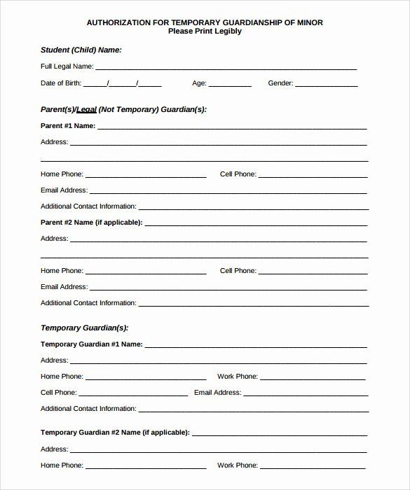 Internship Application Form Format
