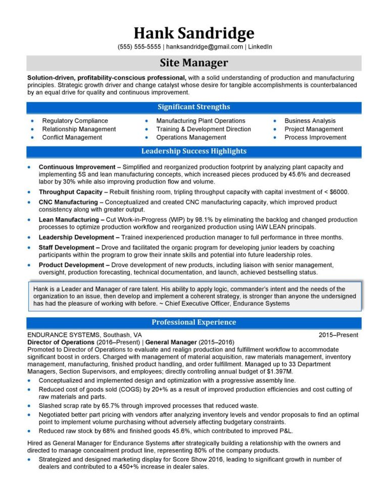 It Project Manager Sample Resume India