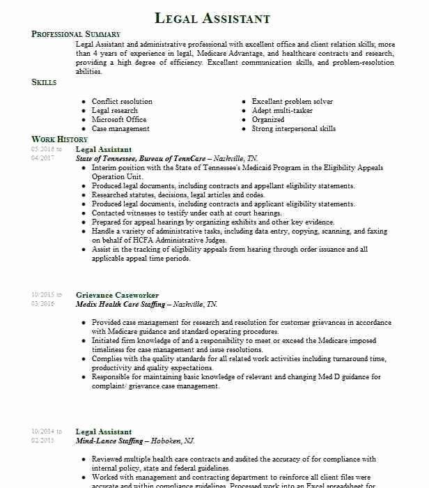 No Working Experience Resume Sample